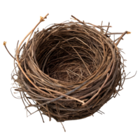 Empty bird's nest made of thin brown twigs, photorealistic close-up png