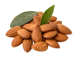 Group of almonds with green leaves png