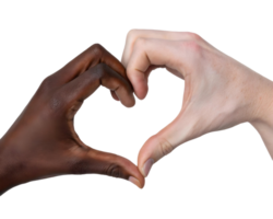 Black and white hands forming a heart shape against a transparent background showing diversity and unity png