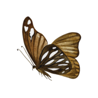 A brown butterfly is flying. A hand-drawn watercolor illustration. a color image of an insect. Isolate it. For printing and decorating postcards, banners, and flyers. For home decor, packaging, labels png
