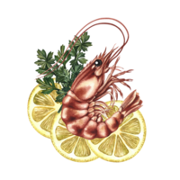 Shrimp with lemon and herbs. Handmade watercolor illustration. Color image of seafood. Great for menus, recipe books, packages, labels, and invitations. png
