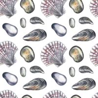 Seamless pattern with sea stones, mussels and scallops. A hand-drawn watercolor illustration. A color image of a pattern of beach elements. Ideal for textiles, fabrics, wrapping paper, printing. png