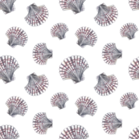 Seamless scallop pattern. A hand-drawn watercolor illustration. Color image of marine elements. Ideal for textiles, fabrics, wrapping paper, curtains, printing and more. png