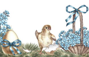 An Easter frame with a cute chicken and a basket of forget-me-nots. Handmade watercolor illustration in vintage style. For greeting cards and Easter invitations. For banners, flyers and prints. png