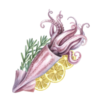 Whole squid with lemon and rosemary. A hand-drawn watercolor illustration. Color image of seafood. For menus, recipes, packages, labels and invitation flyers. png