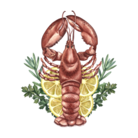 Lobster with lemon and herbs. Handmade watercolor illustration. A color image of a lobster dish. Separate from the background. For menus, recipe books, packages, labels. png