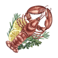 Lobster with lemon and herbs. Handmade watercolor illustration. A color image of a seafood dish. Separate from the background. Suitable for menus, recipe books, packages, labels and banners. png