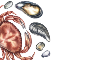 A frame with an image of a crab and mussels. A hand-drawn watercolor illustration. A color template with an image of seafood. For menus, recipes, packages, labels and invitation flyers. png