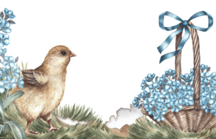 An Easter frame with a cute chicken and a basket of forget-me-nots. Handmade watercolor illustration in vintage style. For making greeting cards and invitations for Easter, banners, flyers and prints. png