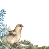 Easter card. A hatched chicken on the grass surrounded by forget-me-nots. Handmade watercolor illustration. A color image of an Easter frame in vintage style. For greeting cards and Easter invitations png