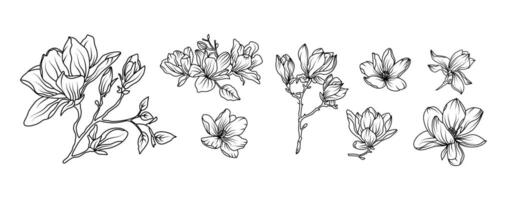 Magnolia flower arrangement line art isolated on white background. Silhouette magnolia botanical hand drawn element for wedding, invitation frame design, illustration vector
