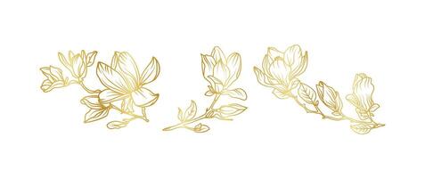 Luxury gold magnolia flower backgrounds. Floral pattern tropical in line art style for greeting, invitation, wedding card, wall art, wallpaper print. illustration vector