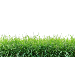 Beautiful green grass field with a clipping path, panoramic banner, and panoramic view. High-resolution. png