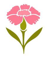 Pink carnation illustration isolated in white background vector