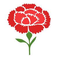 Red carnation illustration isolated in white background vector