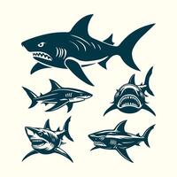 Shark Silhouettes Icon Set swimming various poses and orientations, Front View Side View Illustration vector