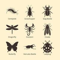 Insect icon set, Pest Arthropods Silhouette, ladybug, bug, fly, dragonfly, beetle, butterfly, cicada, scorpion, centipede, grasshopper icon symbol vector