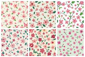 A collection of six different floral patterns with cherry vector