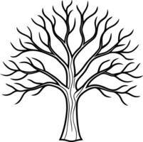 Intricate Bare Tree Line Art - Elegant Autumn and Fall Illustration vector