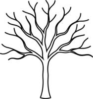 Elegant Bare Tree Line Art - Minimalist Autumn and Fall Illustration vector
