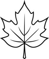 Hand-Drawn Maple Leaf Line Art - Autumn and Fall-Themed Botanical Illustration vector