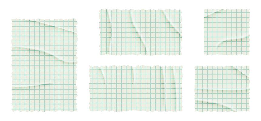 Set of torn lined, math note, notebook paper. Square grid sheet. Ripped pages of school notepad. illustration on transparent background.