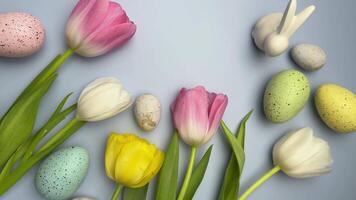 Spring tulips and easter eggs rotating on blue background video