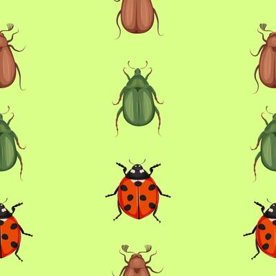 Seamless pattern with insects. May bug, cockchafer , rose chafer, green beetle and lady bug on a green background.