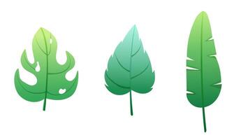 Set of tropical palm leaves with grainy texture in flat style vector