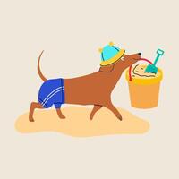 A cartoon dachshund dog playing in the sandbox at the beach with a bucket and shovel vector