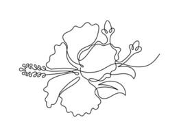 Hibiscus flower in one continuous line art drawing style. Floral minimalist black line sketch isolated on white background. Floral illustration. vector