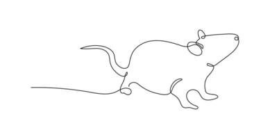 Mouse in continuous line art drawing style. Minimalist black linear sketch isolated on white background. Rat animal illustration vector