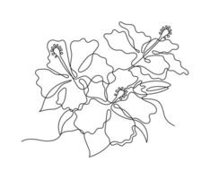 Hibiscus flower in one continuous line art drawing style. Minimalist black line sketch isolated on white background. flower illustration. vector