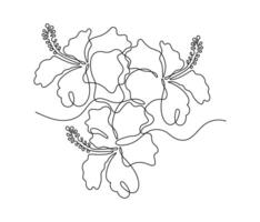 Hibiscus flower in one continuous line art drawing style. Minimalist black line sketch isolated on white background. illustration vector