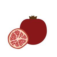 Flat illustration of whole pomegranate and sliced half with red seeds on white background for design use vector