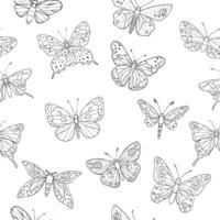 A seamless pattern of line art butterflies with intricate wing patterns, showcasing a variety of artistic and natural designs, illustration vector