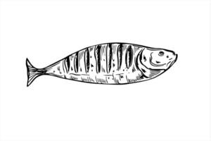 whole fish grilled on charcoal grate line ink illustration in black and white. Monochrome perch, roach or zander graphic sketch for fishing blogs, eco labels and rustic menu design vector