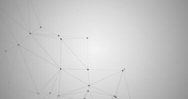 Gradient white design polygonal business background vector
