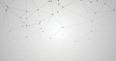Abstract geometric wireframe white background design vector
