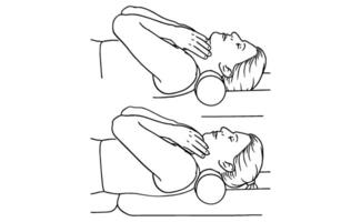 Neck Roll Stretch Exercise Step-by-Step Illustration for Cervical Spine Alignment and Pain Relief vector