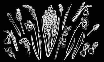 Black and white line art spring flowers. Hand drawn hyacinth, snowdrop, narcissus illustration. Doodle of flowers in a monochrome banner design. Ready to be used in print and online projects. vector