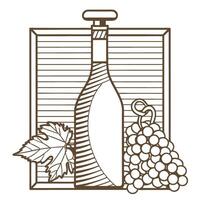 Wine and grapes art elegant bottle with grapevine theme in vintage line drawing vector