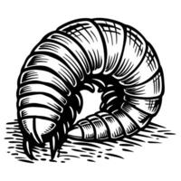 intricate black and white illustration of a curled, segmented beetle larva with detailed textures vector