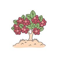 Bright red berry tree with green leaves on grass patch illustrating nature's bounty vector