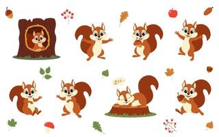 Cute animal squirrel set characters. Squirrel in various poses. Squirrel running, standing, jumping and sleeping. Forest wild animals. vector