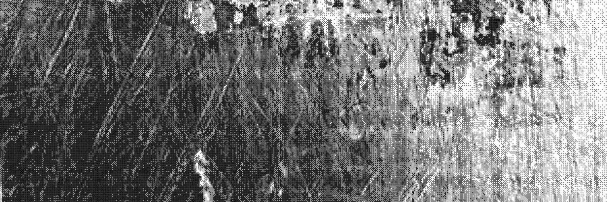 Grunge background with textured scratches and dots in high contrast, creating a distressed and artistic visual effect.
