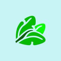 Abstract Green Leafy Vegetable Icon Illustration vector