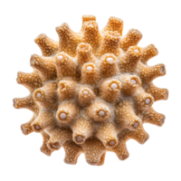 Isolated Iranian zoolbia bamieh showcasing unique texture and structure in detailed view png