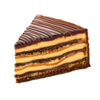 Delicious isolated Hungarian dobos torte with chocolate and caramel layers png