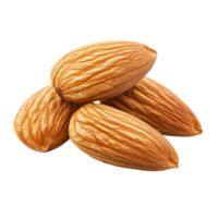 Isolated Moroccan almond briouat showcasing rich texture and traditional craftsmanship png